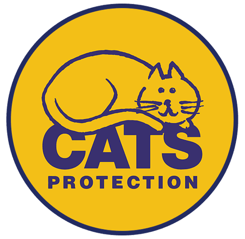 head of data, digital and direct marketing, Cats Protection
