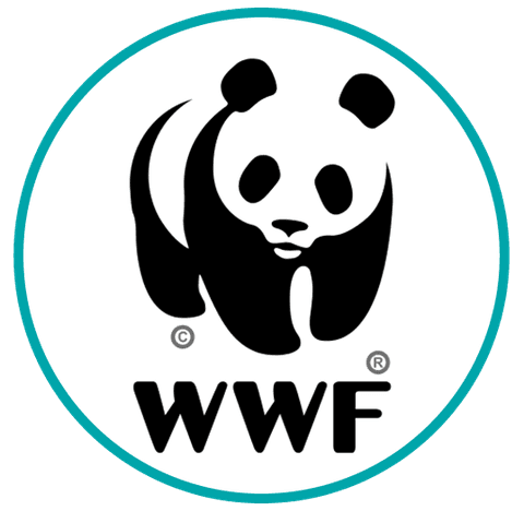 Data systems development manager, WWF UK