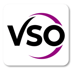 Head of Data and Insight, VSO