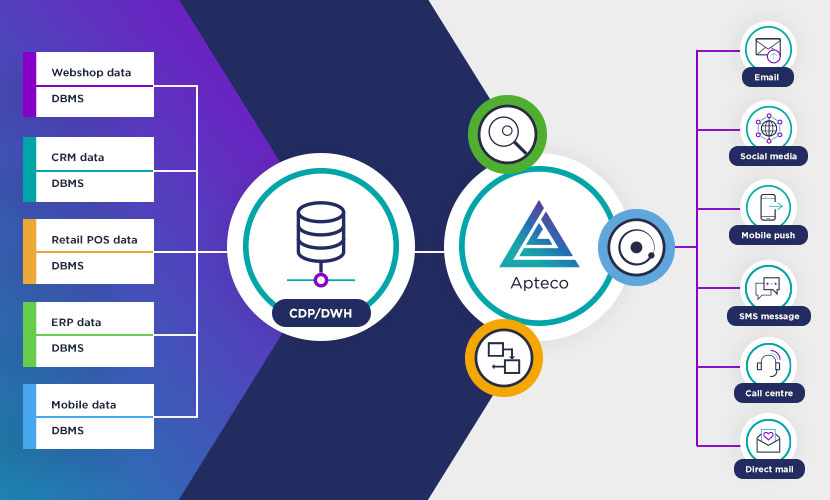 What is database management software?