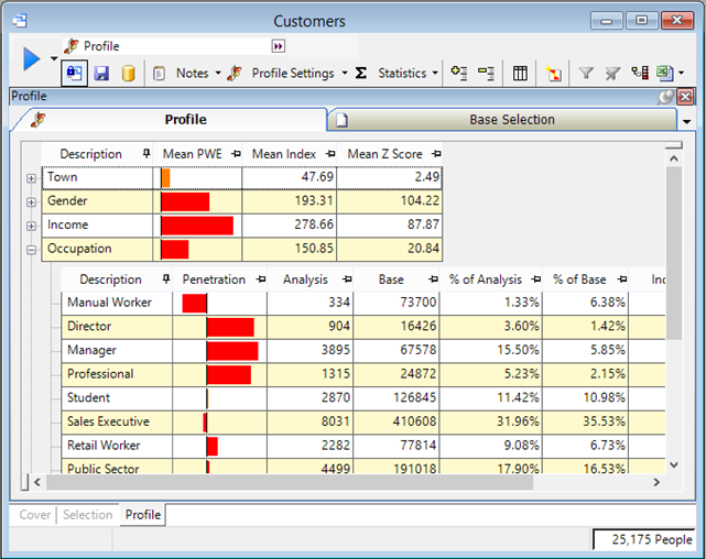 Building and interpreting the customer profile