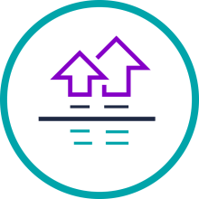 Encourage upgrades and renewals